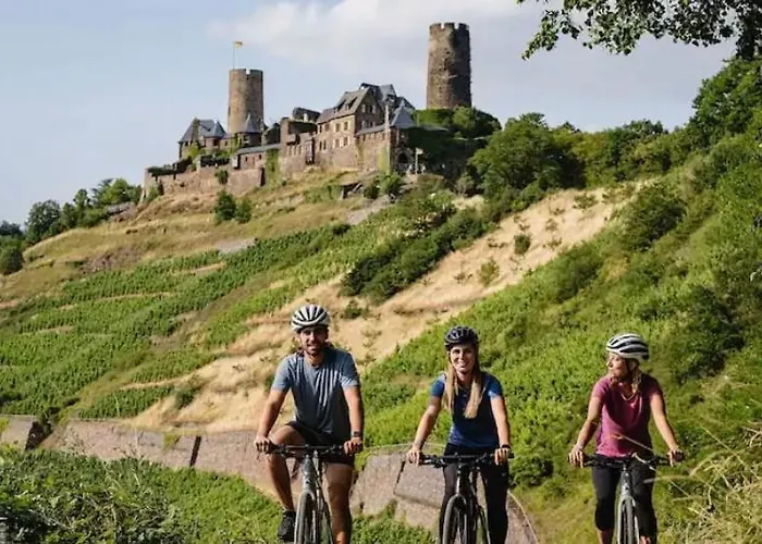 Appartement Rheinmosel Glueck 7 *